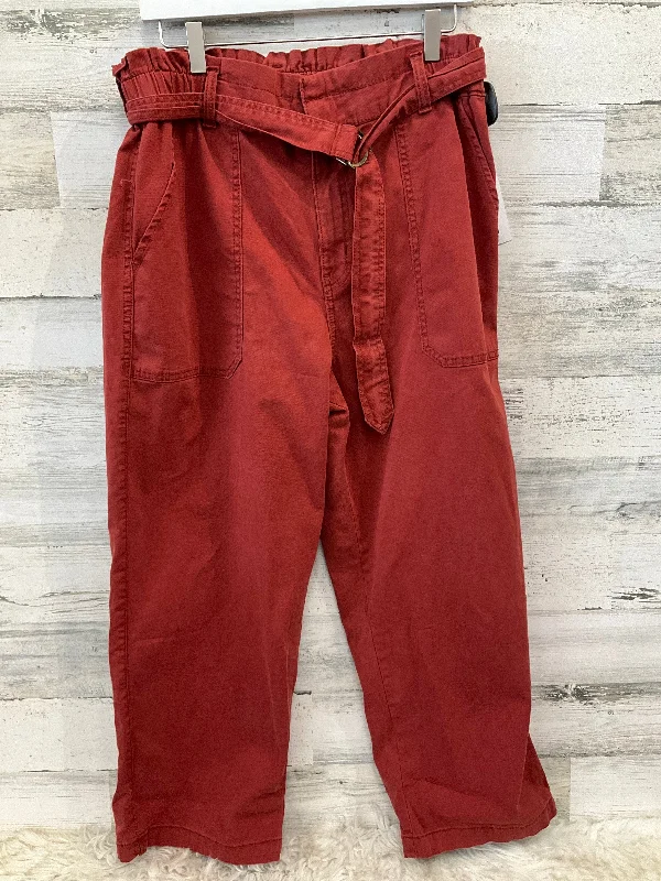 Vintage denim pants for timeless rugged style -Pants Cargo & Utility By Time And Tru In Orange, Size: 16